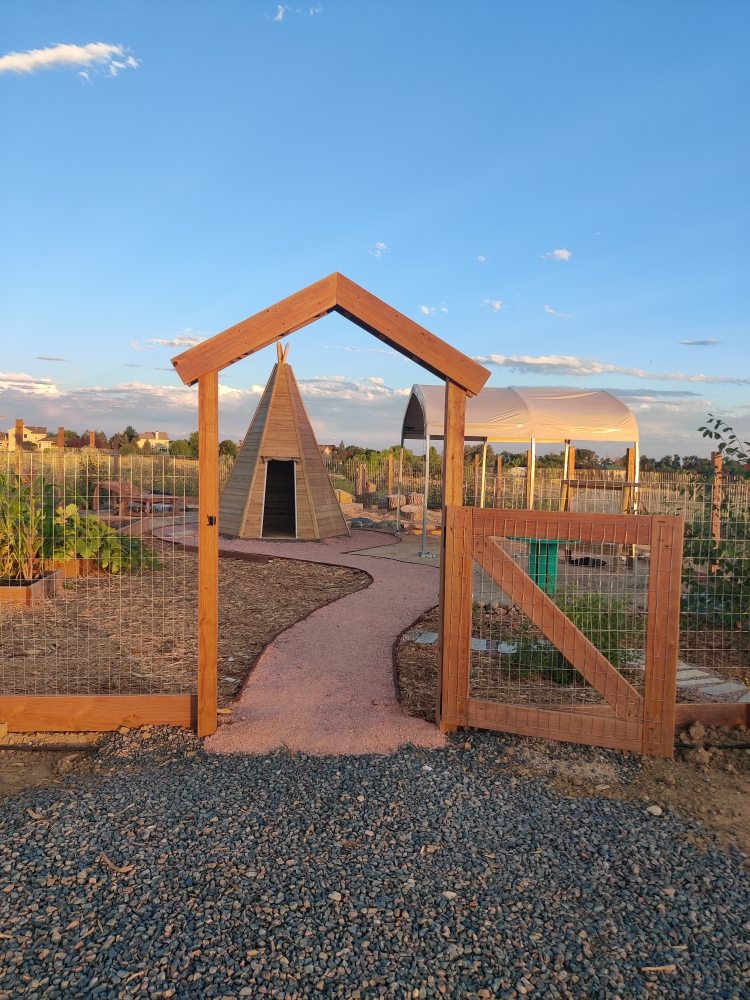 Little Pines Nature Based Preschool - childcare center in Fort Collins, CO
