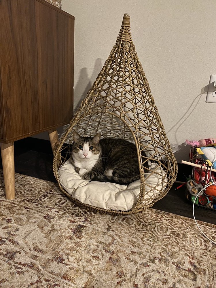 HOME GOODS Updated September 2024 19 Photos 2900 Deerfield Dr