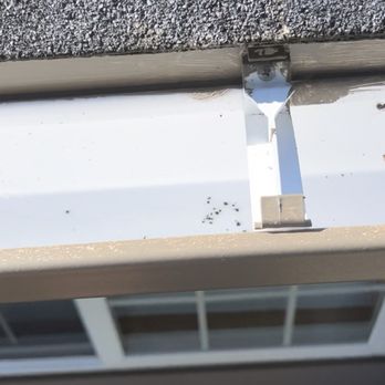 A1 Pro Lawn Care - Gutter not draining properly and shows gutter install below normal height - Lawn Services Near Me - Roseburg, Oregon A1 Pro Lawn Care - Gutter not draining properly and shows gutter install below normal height - Lawn Services Near Me - Roseburg, Oregon
