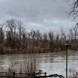 Hyak County Park - The willamette river