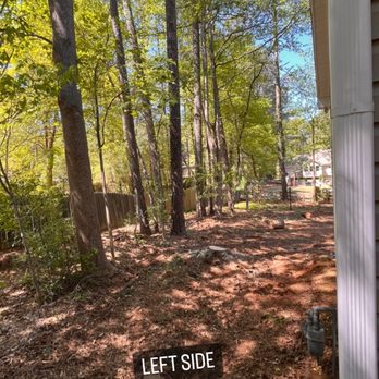Tree Care Marietta - left side after tree removal - Tree Services Near Me Tree Care Marietta - left side after tree removal - Tree Services Near Me