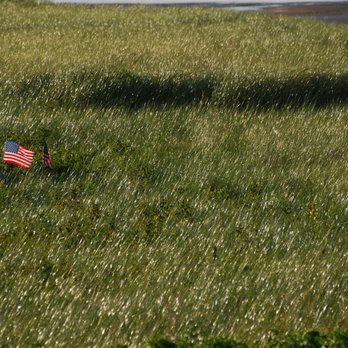 Oasis Sprinkler Service - Irrigation Near Me - Bulverde, Texas Oasis Sprinkler Service - Irrigation Near Me - Bulverde, Texas