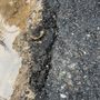 Photo of Premier Paving
