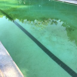 Woodlands north apartments green dirty water. May 2017