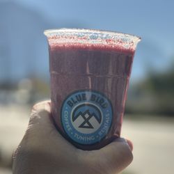 Bluebird: Coffee Tuning & Rentals