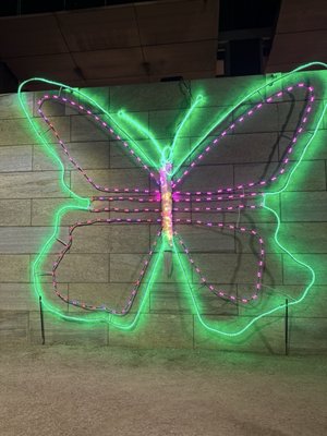 Civic Garden by null