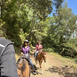 Kim's Bredehoft's Horse & Rider Connection