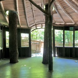 Mt. Airy Forest - Inside the treehouse