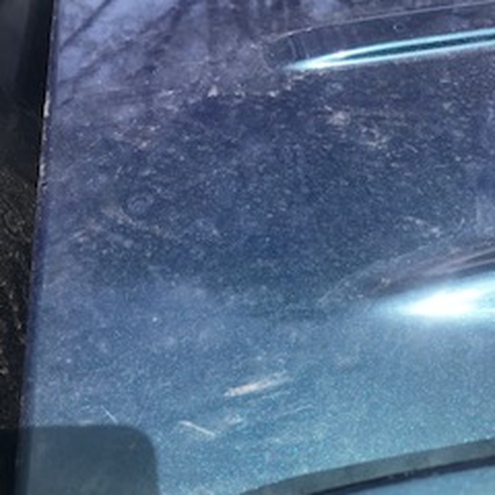 Xclusiv Auto Detail - Dirt on top of vehicle - Auto Detailing Near Me