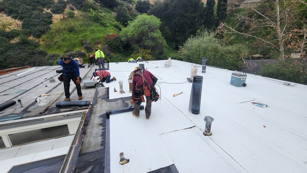 Slide of Lara's Roof