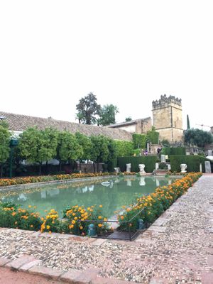 Alcázar de los Reyes Cristianos by null