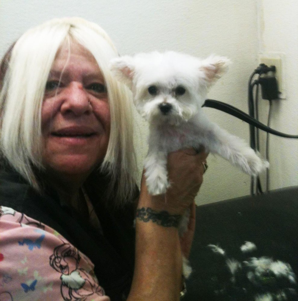 TINY BUBBLES PET GROOMING Updated September 2024 13 Photos 811 N