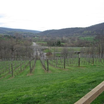 Chateau O'Brien at Northpoint - View of the vineyard. - Wineries Near Me - Markham, Virginia Chateau O'Brien at Northpoint - View of the vineyard. - Wineries Near Me - Markham, Virginia