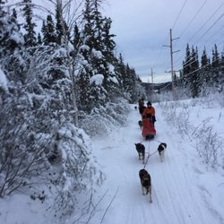 Friendly Arctic Adventures