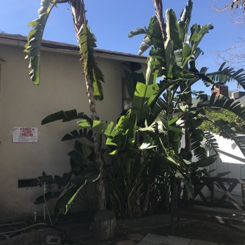 Artistic Tree Services Corp. - Tree Services Near Me Artistic Tree Services Corp. - Tree Services Near Me