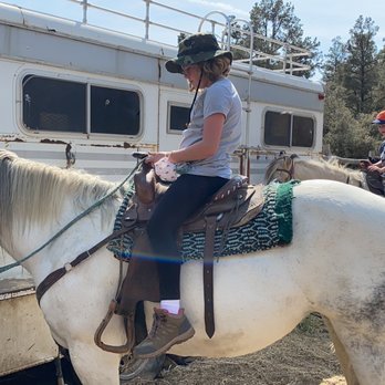 American Jousting Alliance - James taught us all about navigating their reigns and everything we needed to know! - Horseback Riding Near Me - Frazier Park, California American Jousting Alliance - James taught us all about navigating their reigns and everything we needed to know! - Horseback Riding Near Me - Frazier Park, California