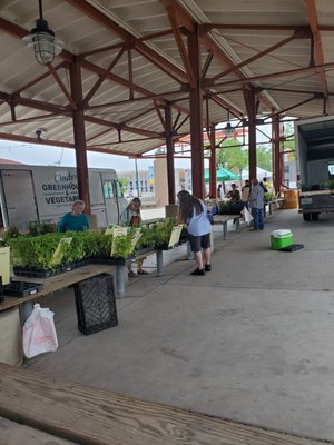 West Allis Farmers Market by null