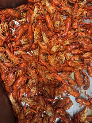 Tony's Seafood by null