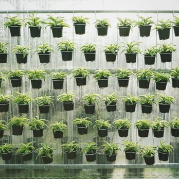 Valleyview Gardens - Nurseries & Gardening Near Me - Markham, Ontario