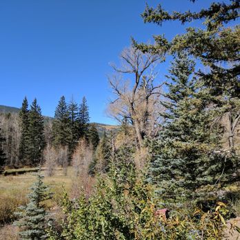 Carson National Forest - Carson National Forest mid-October north of Vadito, NM - Parks Near Me - Taos, New Mexico