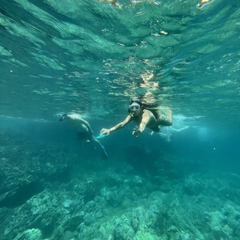 Zephyr Maui - Thanks for capturing these photos! - Snorkeling Near Me - Kihei, Hawaii Zephyr Maui - Thanks for capturing these photos! - Snorkeling Near Me - Kihei, Hawaii