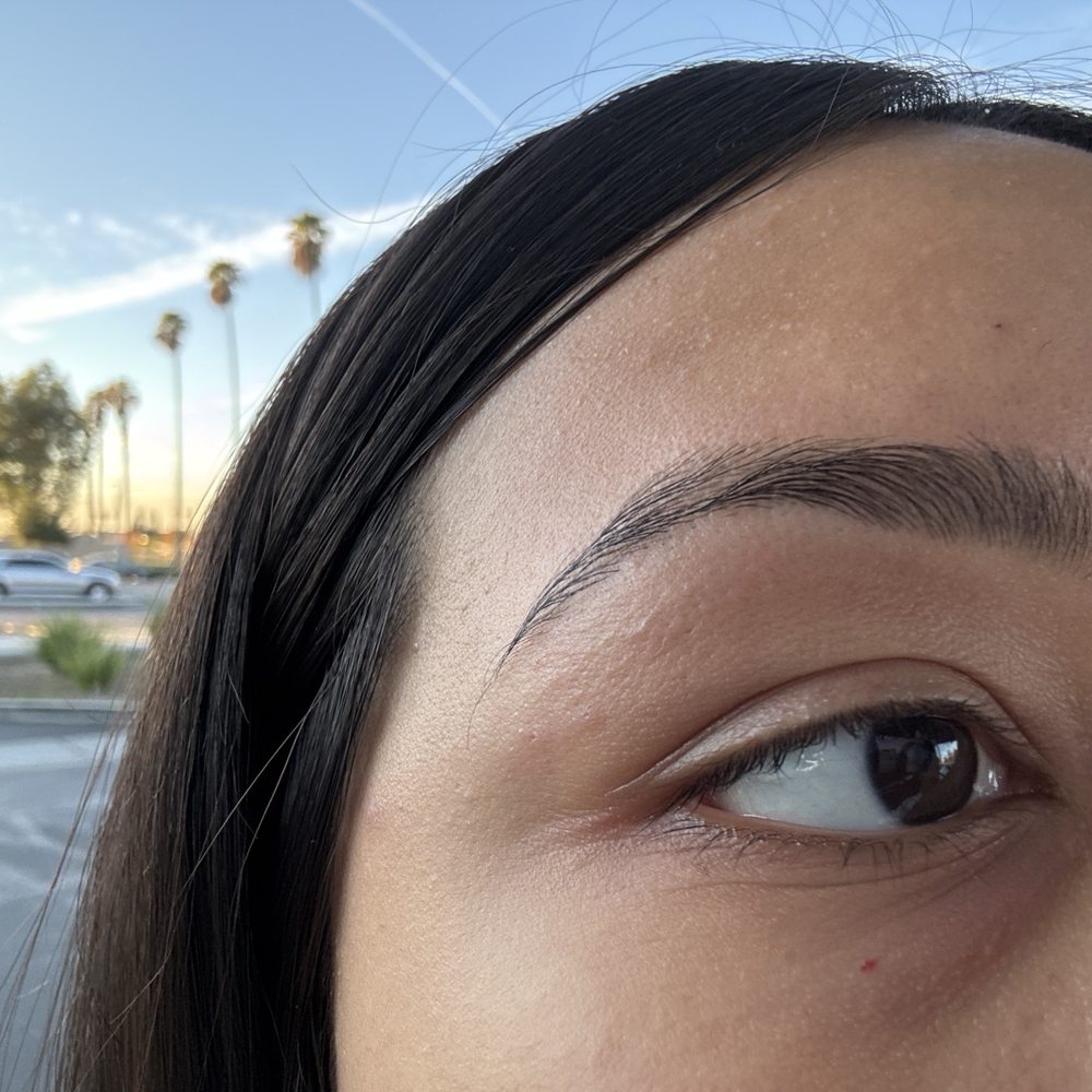 Eyebrows By Arlin - Right eyebrow - Eyelash Service Near Me - Santa Ana, California