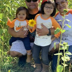 Dykeman Farm - Sunflower field