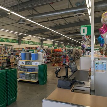 Dollar Tree - Inside the store - Discount Store Near Me - Thousand Oaks, California