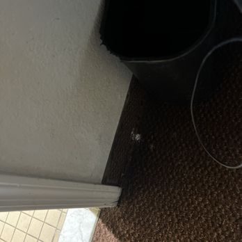 E-Z 8 Motel - Phoenix - Not a single trash bag in any of the trash cans, either! - Hotels Near Me - Phoenix, Arizona