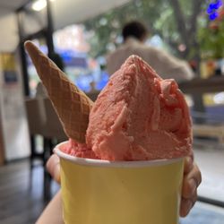 Serendipity BK - Two scoop sorbet