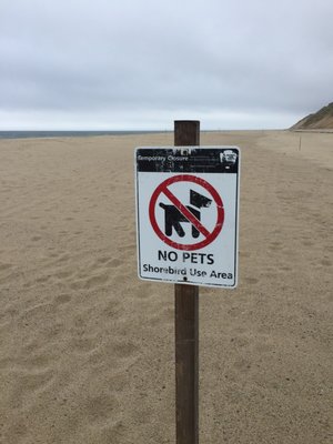 Longnook Beach by null