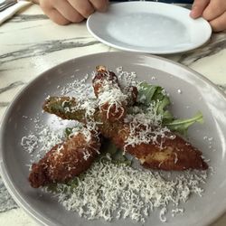 Stella Blu - Zucchini flowers