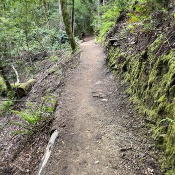 Dawn Falls - Dawn Falls trail - Hiking Near Me - Larkspur, California