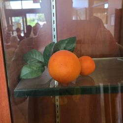 Mentone Senior Center and Library - Orange Fruit.