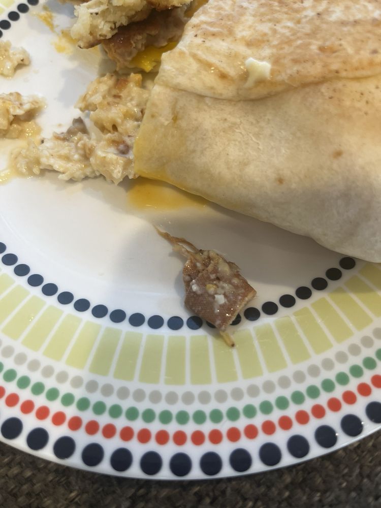 BAGEL TOWN CAFE Updated October 2024 58 Photos & 40 Reviews 1614