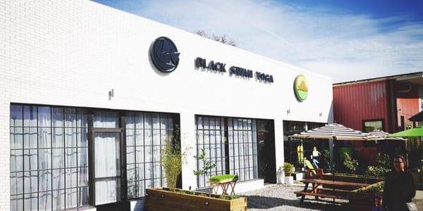 Black Swan Yoga by null