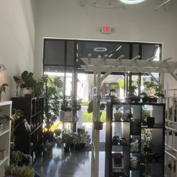 Burs Green Thumbs - Florists Near Me - Coconut Creek, Florida Burs Green Thumbs - Florists Near Me - Coconut Creek, Florida