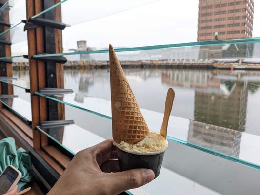 Van Diemens Land Creamery by null