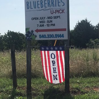 Buffy's Blueberries - a sign for a blueberry pick - Community Gardens Near Me - Moneta, Virginia