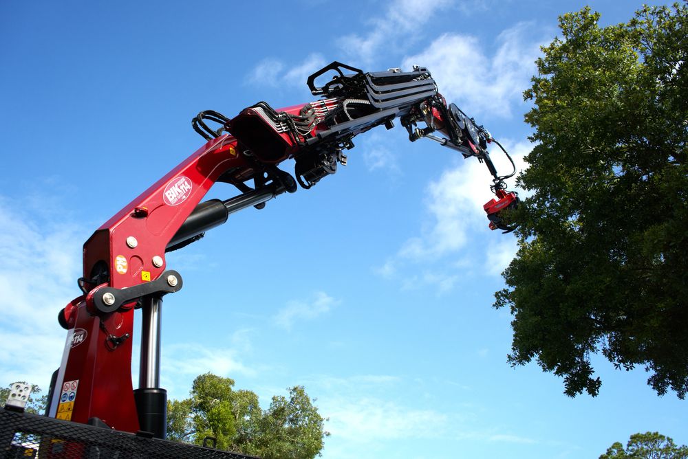 Ranger Tree Care - tree service in Orlando, FL