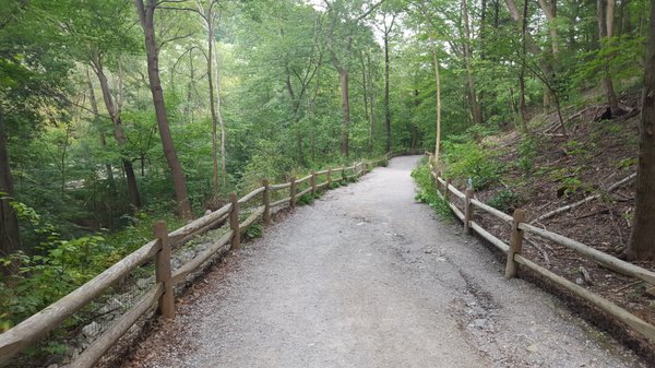 David A. Balfour Park by null