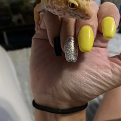 Regal Nails, Salon & Spa - This was the last set of nails they did for me! My leopard gecko just happens to be in the photo