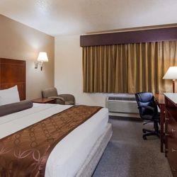 Best Western Desert Oasis - King Room