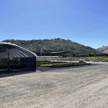 Western Star Nurseries - Nurseries & Gardening Near Me - Sunol, California