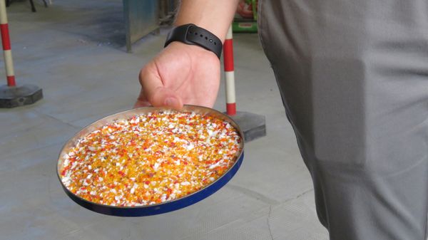 Ellegi Murano Glass Factory by null