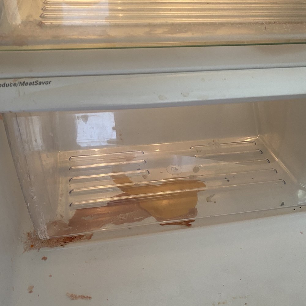 Brad Cleaning - Inside refrigerator - Home Cleaning Near Me - Santa Clara, California Brad Cleaning - Inside refrigerator - Home Cleaning Near Me - Santa Clara, California