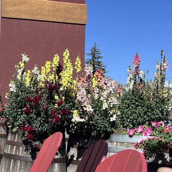The Barrel - Estes Park - Beer Gardens Near Me - Estes Park, Colorado The Barrel - Estes Park - Beer Gardens Near Me - Estes Park, Colorado