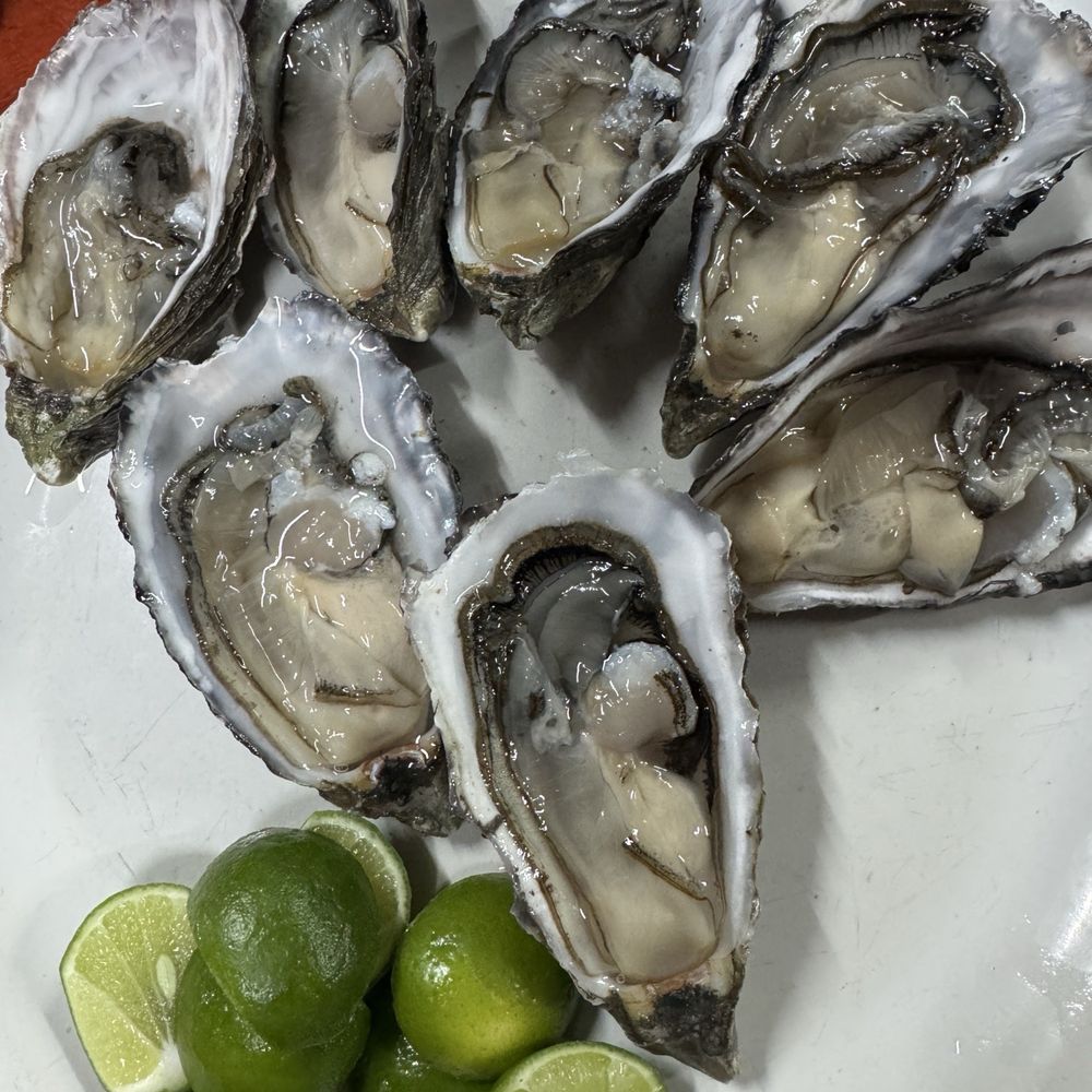 El Pescador - Mexican Near Me - San Lucas, CHP El Pescador - Mexican Near Me - San Lucas, CHP