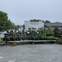 Oakdale Greenhouses