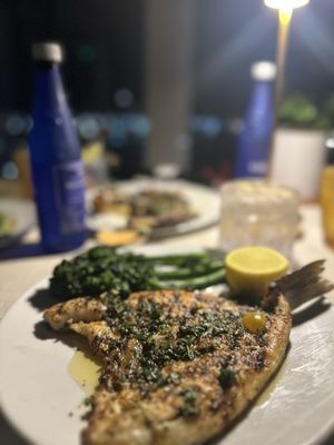 Spruzzo by null